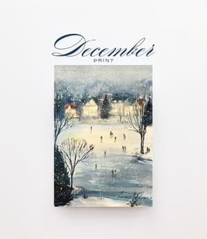 Snowy Evening - Thumbnail 1